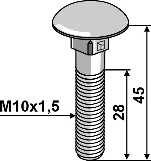 Parafusos de cabeça redonda - galvanizados - M10x1,5