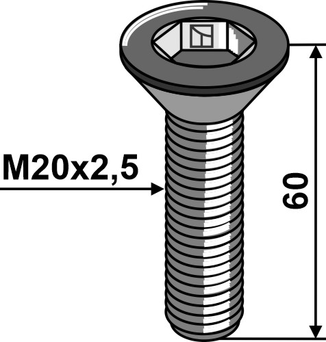 Śruby z gniazdem szcześciokątnym - M20x2,5
